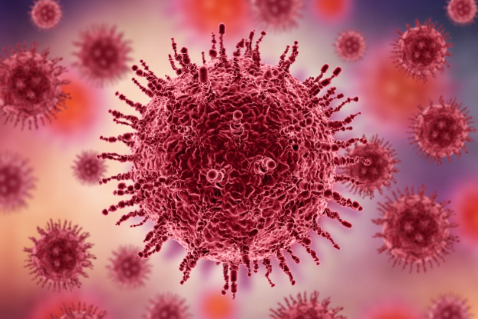 Imagem de: Variante brasileira do coronavírus pode causar reinfecção