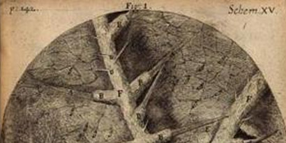 Imagem de Livro do século 17 mostra como é o mundo microscópico no site TecMundo