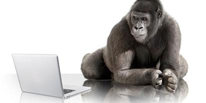 Imagem de Como funciona o Gorilla Glass, vidro inquebrável para celulares e tablets no site TecMundo