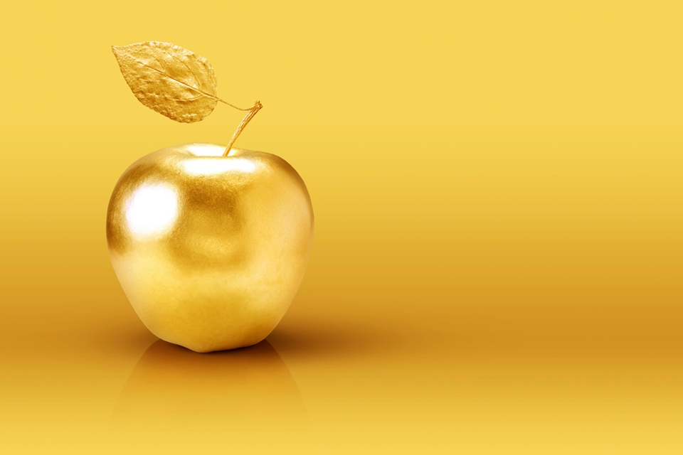 Imagem de Conheça os 20 aplicativos mais caros do iOS e suas respectivas funções no site TecMundo