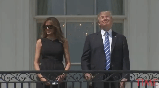 gif giphy
