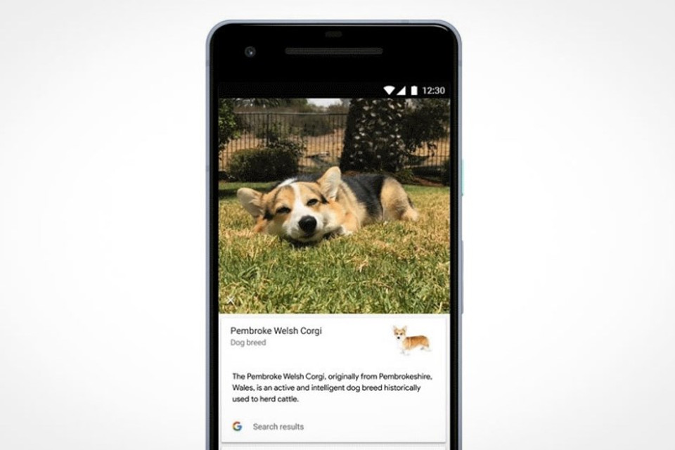 Imagem de Google Lens agora diferencia raças de cães e gatos nas suas fotos no tecmundo