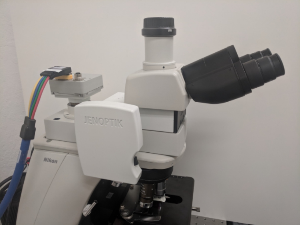 Imagem de Microscópio da Google com realidade aumentada e IA pode detectar câncer no tecmundo
