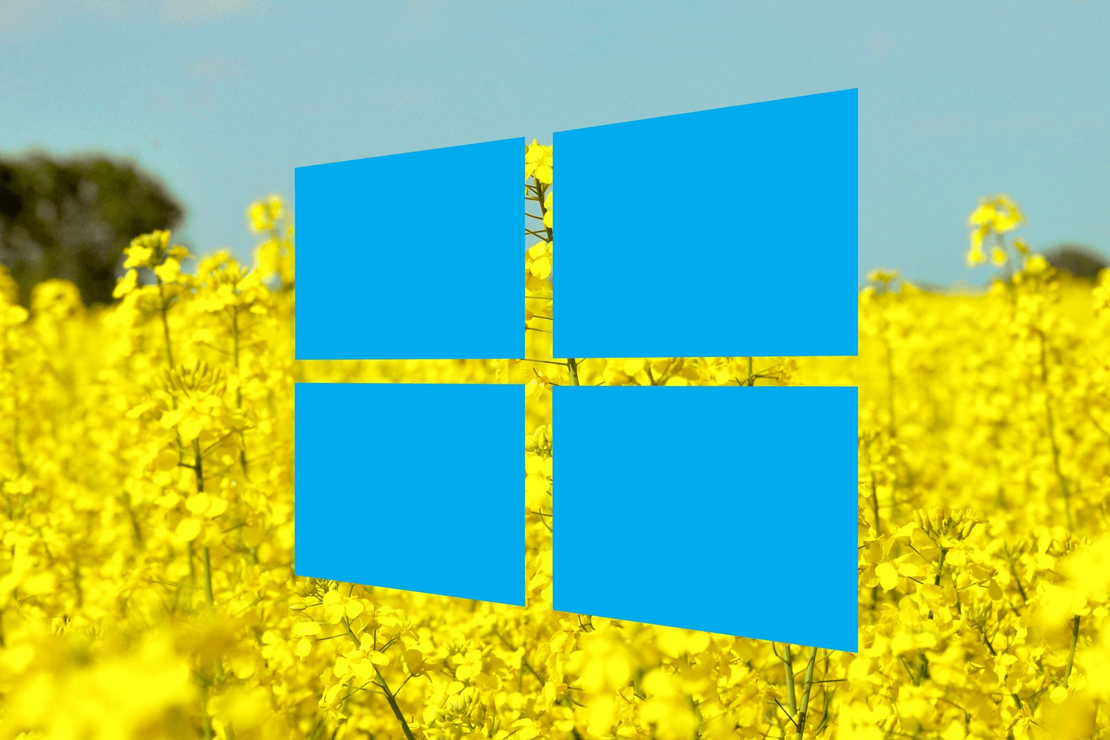 Imagem de Problema no Windows 10 após atualização? Avast pode te ajudar no tecmundo