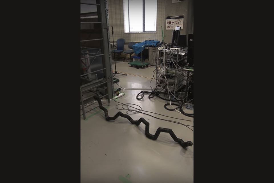 Imagem de Cientistas japoneses criam robô com corpo parecido com o de uma cobra no tecmundo