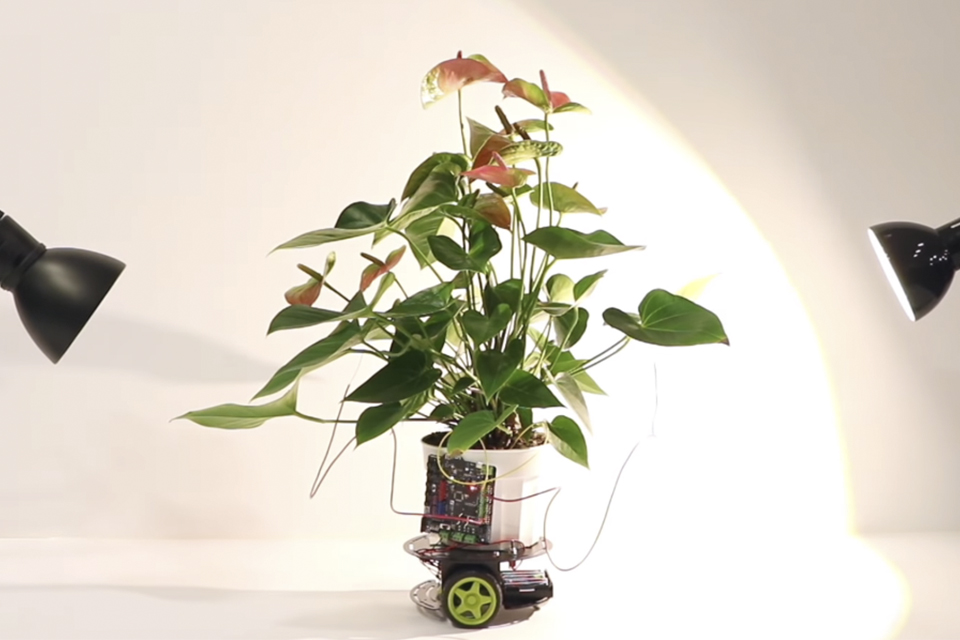 Imagem de Elowan: conheça o robô controlado por sinais naturais das plantas no tecmundo